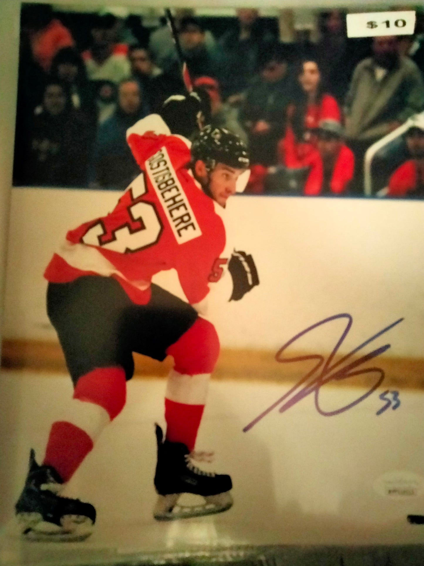 Shayne Gostisbehere Signed 8 x 10